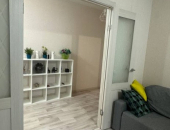 1- , 47   , 5/5 . -  ,    